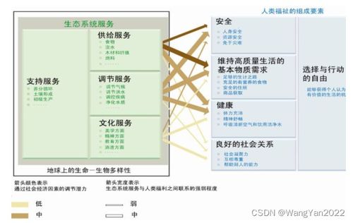 INVEST模型實(shí)踐與進(jìn)階 在生態(tài)系統(tǒng)服務(wù)評(píng)估與城市研究中的核心應(yīng)用及技術(shù)服務(wù)體系